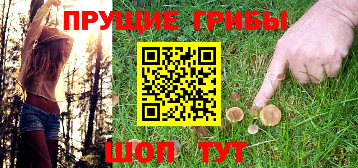 Псилоцибиновые грибы Psilocybine cubensis  Псилоцибиновые грибы ЛСД  Тейково  Вход с VPN 