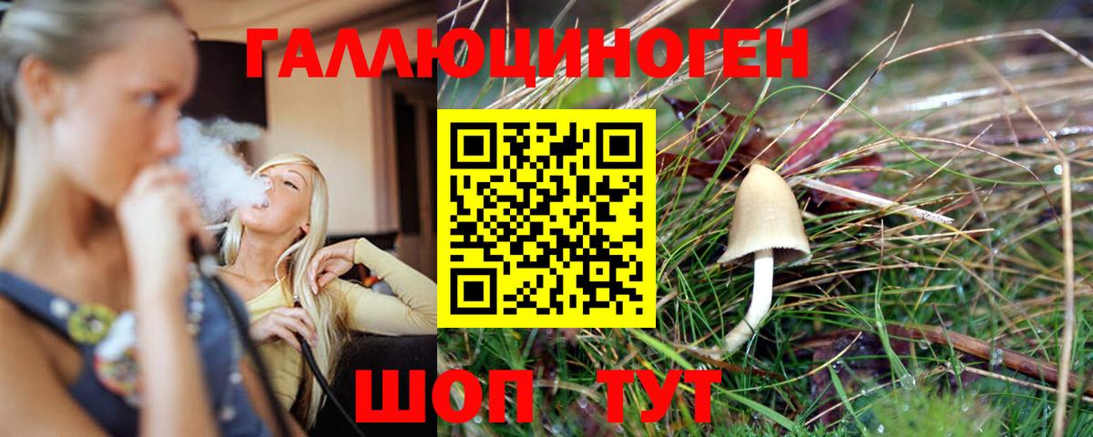 Галлюциногенные грибы мицелий  Галлюциногенные грибы Psilocybine cubensis  Тейково 