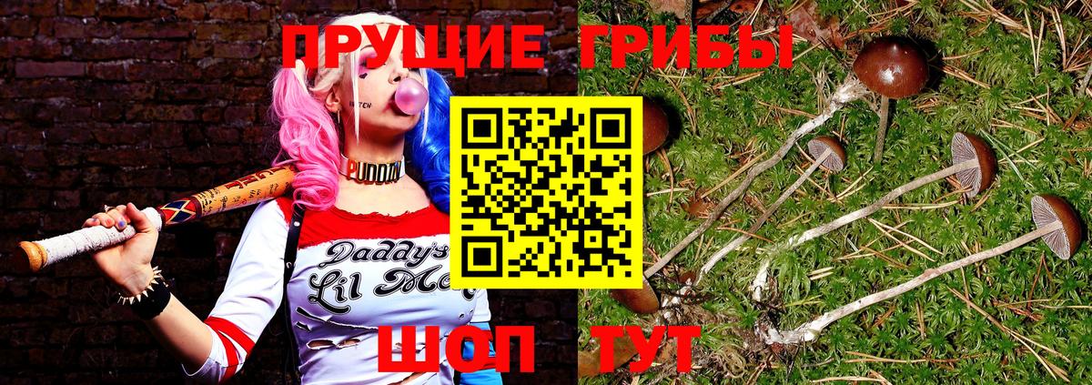 Псилоцибиновые грибы GOLDEN TEACHER Тейково